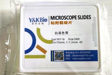 陕西粘附载玻片