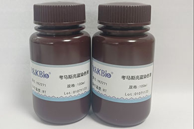 陕西考马斯亮蓝染色试剂盒