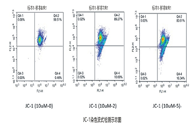陕西流式-JC-1