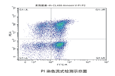 陕西流式PI染色