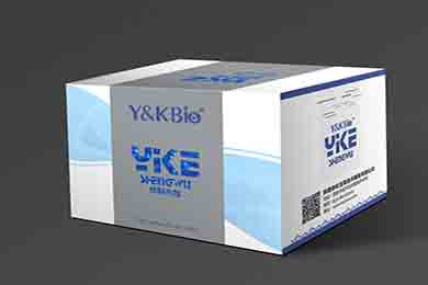 陕西RIPA裂解液（强）