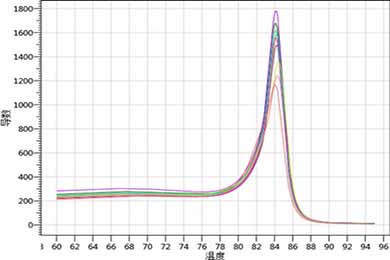 陕西实时荧光定量PCR（RT-PCR）