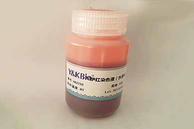 陕西伊红染液（水溶性）