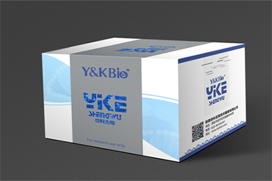 陕西Masson-Fontana黑色素染色试剂盒