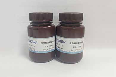 陕西考马斯亮蓝染色液