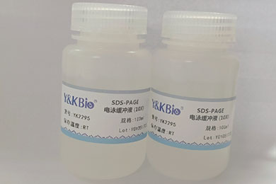 陕西10×SDS-PAGE电泳缓冲液