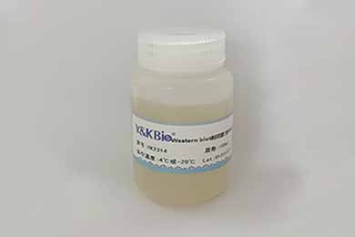 陕西Western膜再生液